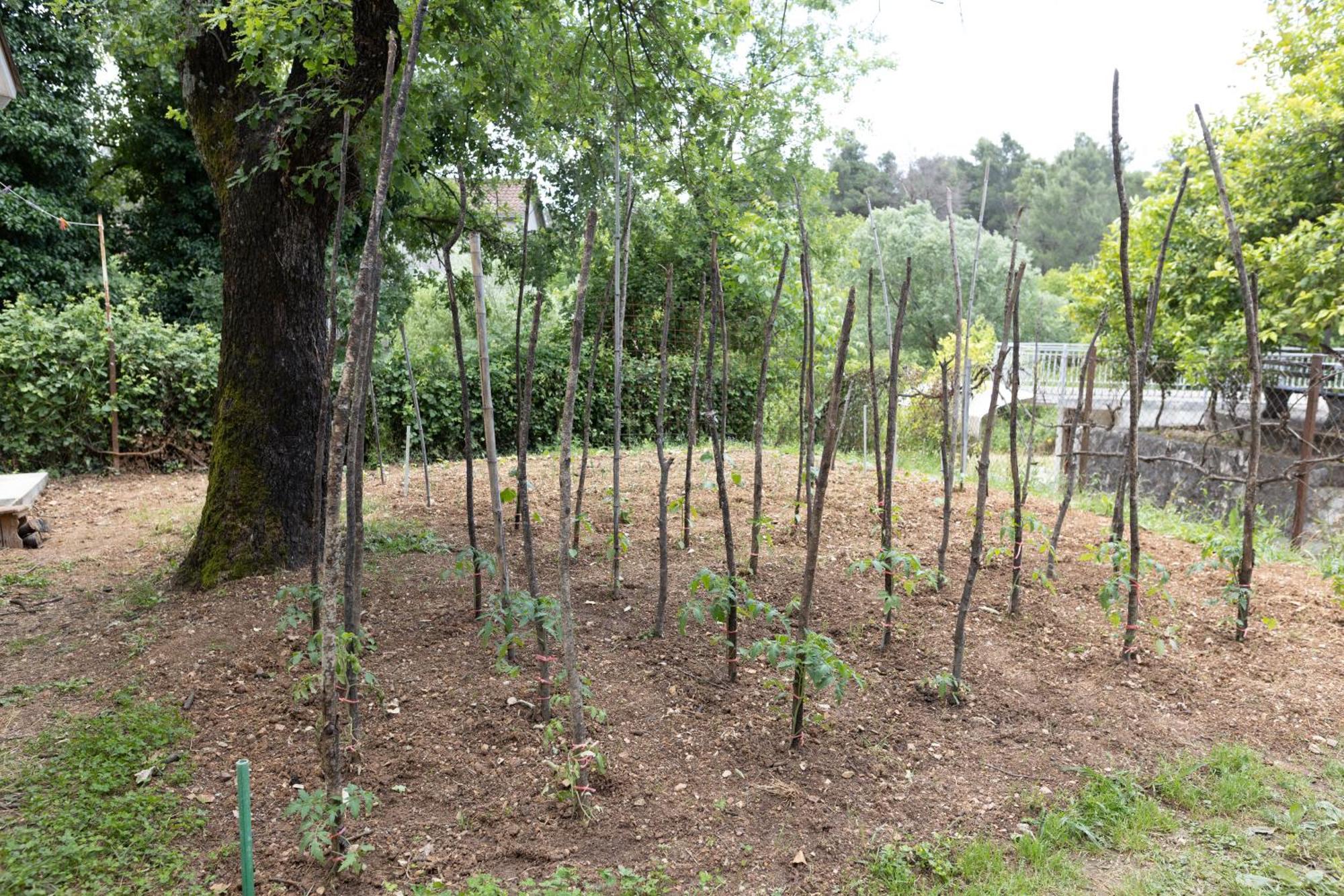 Garden Апартаменты